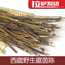  Tibetan specialty Authentic wild Tibetan Yin Chen Zang Yin Chen tea dry goods liver and bile bitter Tea selection 150g Lhasa