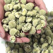 Tibet green loo flower tea snowy flower tea green rhodoflower large flower head stubble raising raw tea green basket flower tea 500g