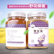 Tibet Teryield Shannan Original Ecowild Flower Honey Honey Ripe Original Honeymogni Wild Honey 500g