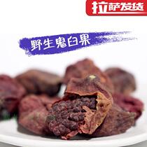 Tibet Terinata Rinzhi Wild Ghost Mortar Plant Dried Fruits Powder for Female Free Powder Beating 100 gr