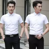 Рубашка, летний рабочий пиджак классического кроя для отдыха, короткий рукав, облегающий крой