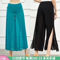 Classical Oriental Belly Leather Dance Pants Bright Silk Sexy Perspective Net Yarn Broadlegged Professional Skirt Pants Teacher Womens Table Performance