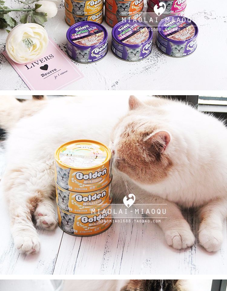 Mèo vàng Nhật Bản đóng hộp đồ ăn nhẹ cá ngừ mèo thức ăn ướt 170g sáu hương vị mèo thành mèo - Đồ ăn nhẹ cho mèo thức ăn cho mèo gần đây