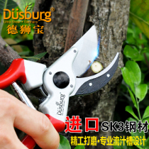 German German Shibao imported fruit tree pruning shears horticultural scissors branch scissors twig scissors rough cutting labor