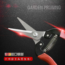 Taiwan original imported German lion treasure gardening scissors pruning shears flower art scissors garden fruit cutting