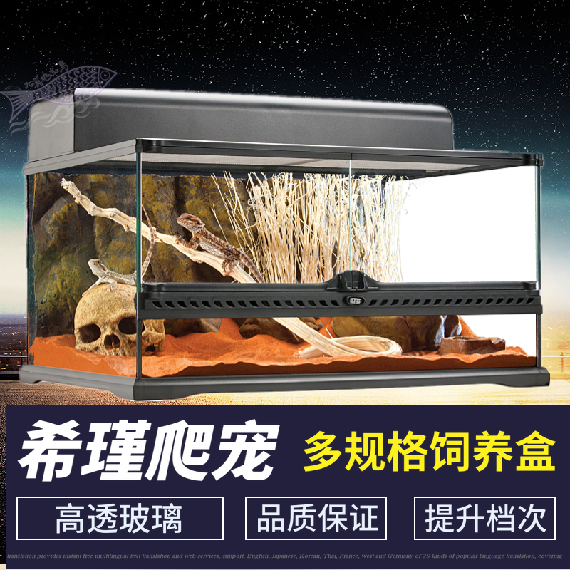 Reptile Tropical Rainforest Eco-Cylinder Spider-hedgehog lizard Lizard Keeper Lizard Reptile Reptile Reptile Reptile reptile Turtle Rearing box