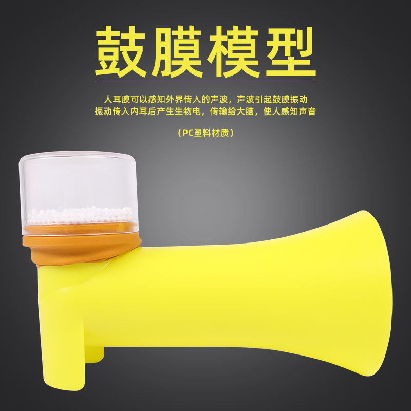 鼓膜耳膜原理制作材料小学科学实验演示教具学具声音由引起鼓膜震动声波的传播形式人耳听到声音的原因