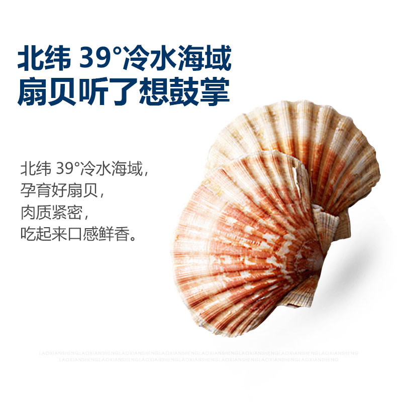 老鲜生 即食扇贝肉 95g*2袋 图5