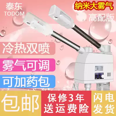 Taidong face steamer Beauty instrument hot and cold sprayer sprayer beauty salon moisturizing instrument hot spray machine Household cold spray machine