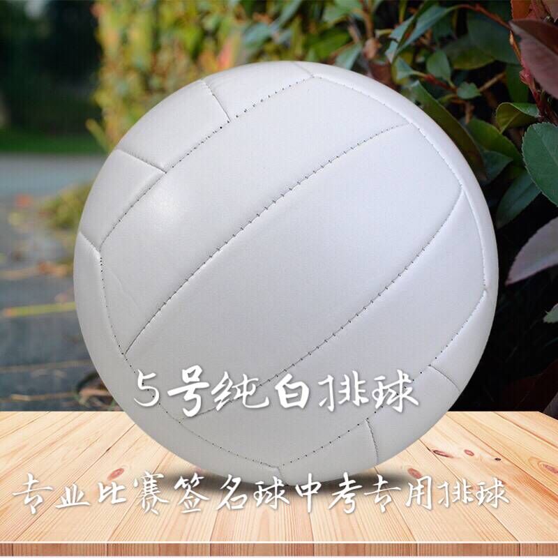 Volleyball men's and women's pure white high school entrance examination color No. 5 college students soft painting ball can be trained and customized special professional signature