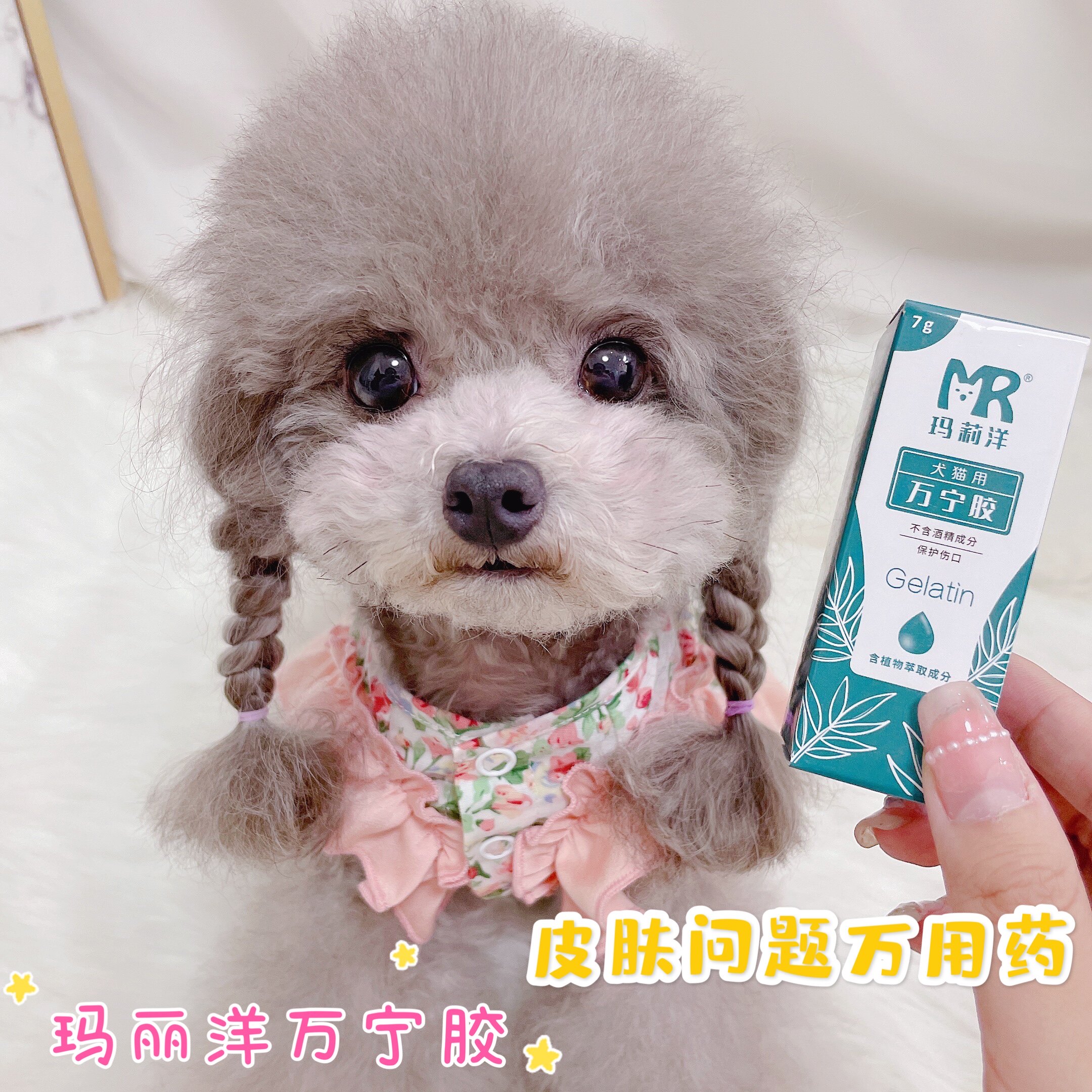 Home Standing Marie Ocean gel Small Blue Tube Wanning Toe Inflammation Pet Cat Dog Dermatatopic Dermatitis Wound