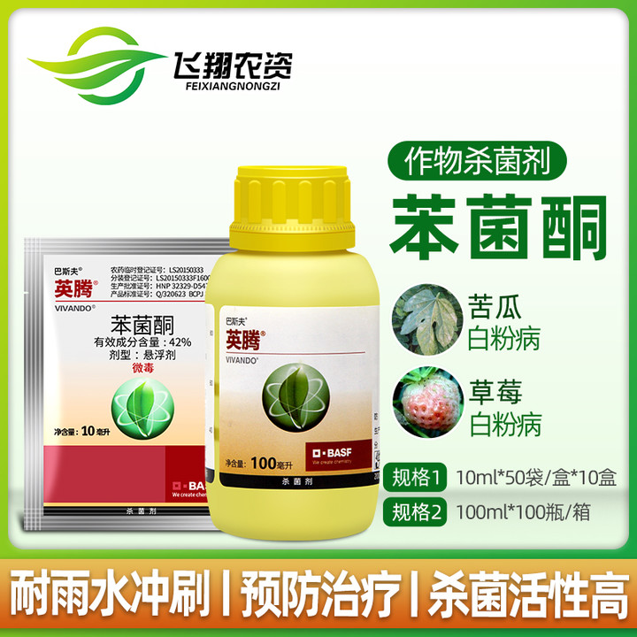 BASF Inten Cucumber Strawberry Grape Vegetable Fruit Tree Sweet Melon White Powder special pesticide fungicide 10ml