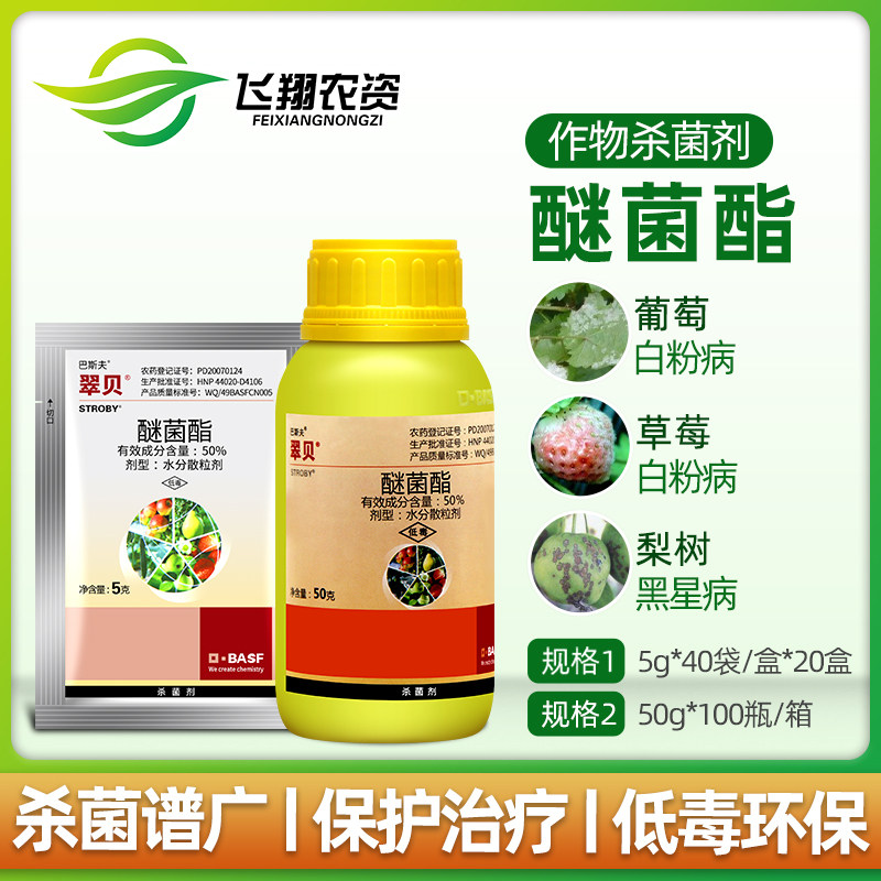 BASF Cubelether Etherate Plant Flowers Months of Black Spotted White Powder rust Pesticide Fungicide 5g50g