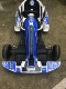 Karting người lớn xe điện trẻ em trôi xe bốn bánh cân bằng lái xe + bộ chuyển đổi + khung phim phun - Smart Scooter