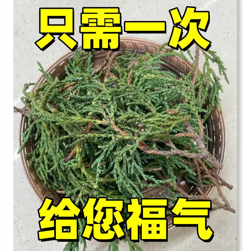 新鲜柏香枝藏地树枝香薰料:天然香浓,正宗藏香,让你家充满自然气息!-膝盖-淘宝好物网