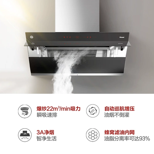 Rinnai/林内 JUW11G+01LT SICE SUSCTION DARGE HOUDS Газовые плита набор набора плиты времени