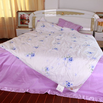 Guangxi pure hand-drawn silk quilt mulberry silk mother is customized baby kindergarten spring and autumn quilt core summer