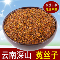 Cuscuta 500g Chinese herbal medicine male nourishing wine can be used with leek seeds Epimedium Yunnan rabbit Silk