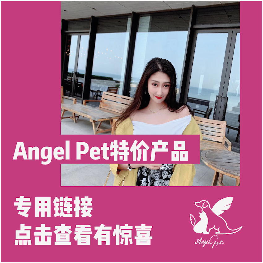 AngelPet into the store must visit at any time to update the loss of the current special price Limited Special