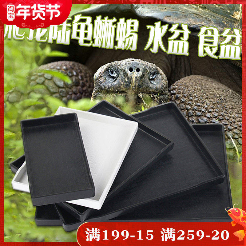 Reptile eating basin tortoise box water basin climbing pet box food plate lizard horned frog gecko radiation feeding box pet drinking plate