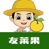 陈大头果农玉环文旦
