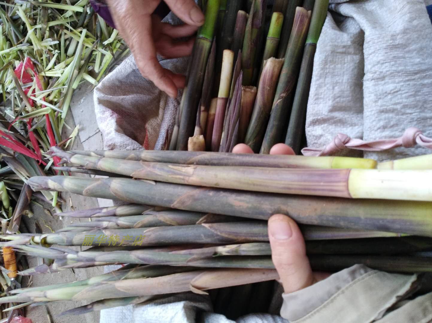 Out of stock in 34 months, there are Jiangxi Gaoanwuqiao hairy bamboo shoots wild small bamboo shoots fresh wild bamboo shoots with shell wild bamboo shoots hand peeled bamboo shoots