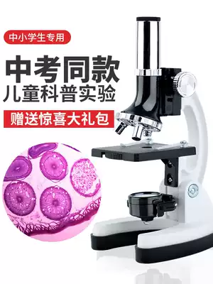 Birthday gifts, girls, boys, children, 10-year-old primary school students, 12 girls, 8 boys, 6 children, 7 school opening ceremony 9