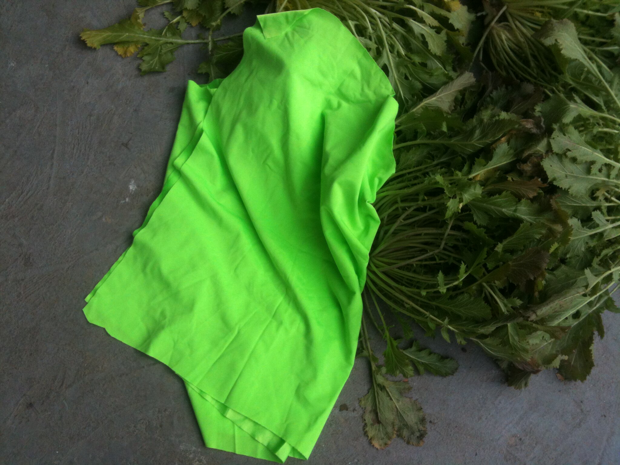 Gants pour enfants - Ref 2147164 Image 23