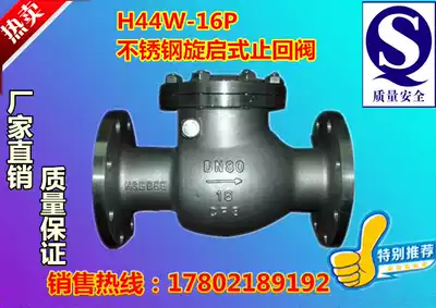 H44W-16P 25P 304 stainless steel rotary flange check valve Pipeline one-way check valve DN15-200