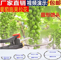 New type of grape kiwi GOOSEBERRY PUFFED WITH FRUIT POULTER GIANT PEAK SUMMER BLACK RED MENTION BAGGING URGE RED AND LARGE ATOMIZATION SPRAY HEAD