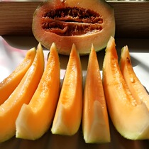 Shunfeng Xinjiang Straight Hair 8 Jin Xinjiang Hami Melon Turpan Melon Special Fresh Fruit Melon Cantaloupe