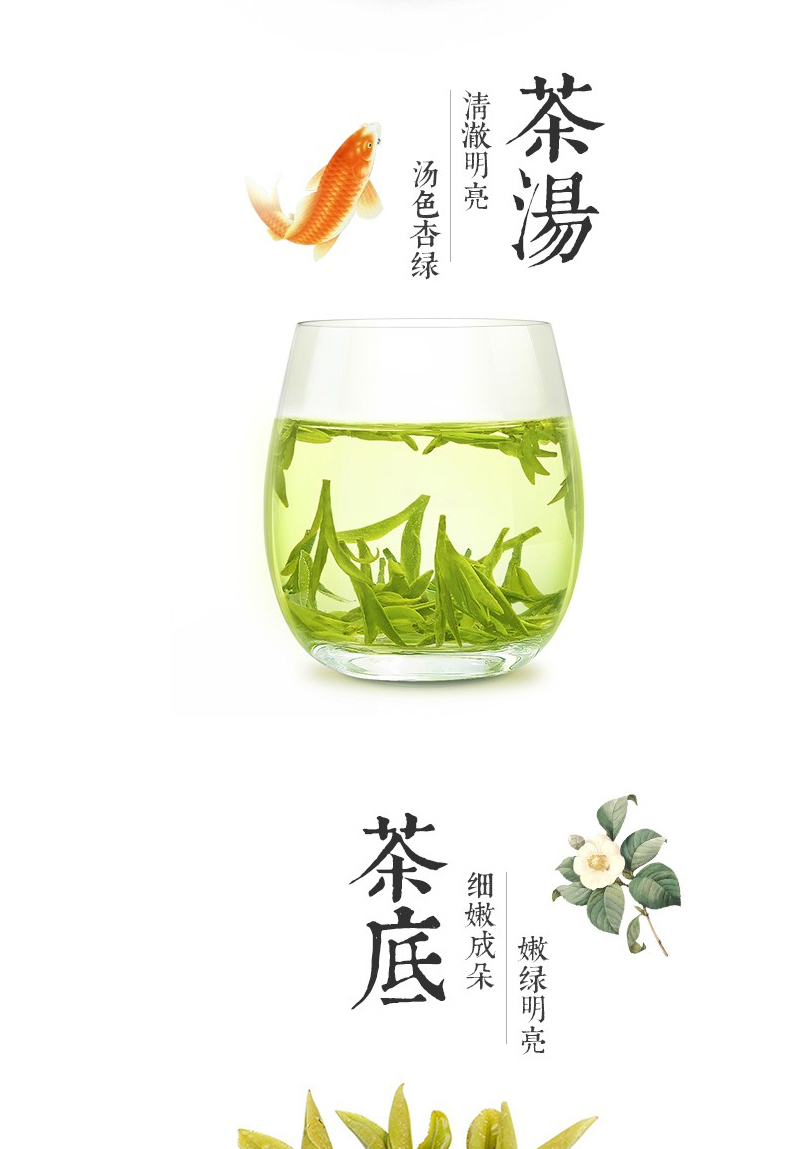 梅府茗家 明前特级 西湖龙井 250g 一级核心产区 图6