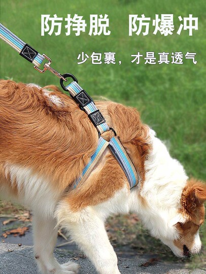 Dog leash pet vest type medium and large small dog Teddy Cokin fur dog leash chest harness dog walking leash
