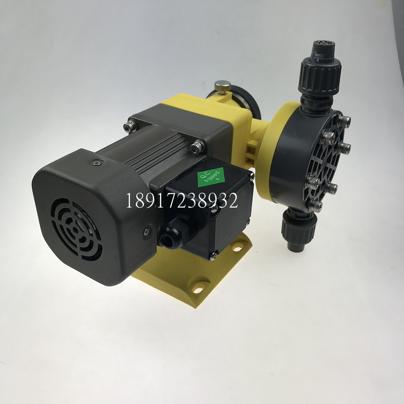 Hangzhou Saipo CNP Southern pump GW025PR2 mechanical diaphragm metering pump GW025PQ1 GW025PP2
