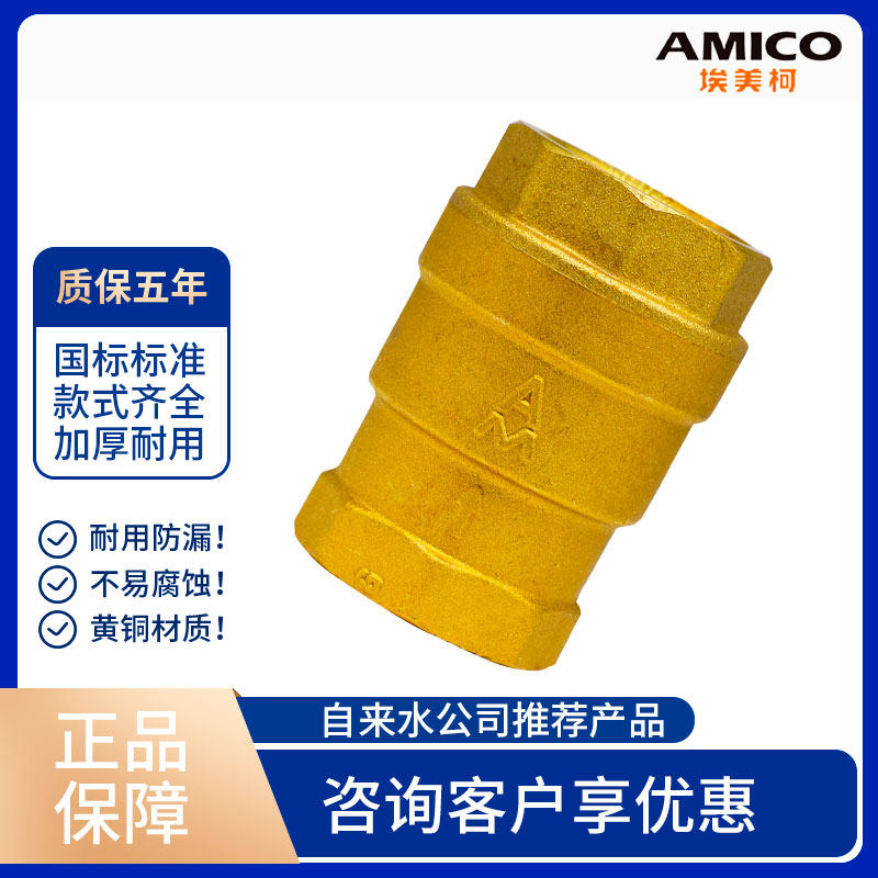 Emeke Brass Lift Check Valve D12X-16T Plastic Inner Thickened Brass Vertical Check Valve-Taobao