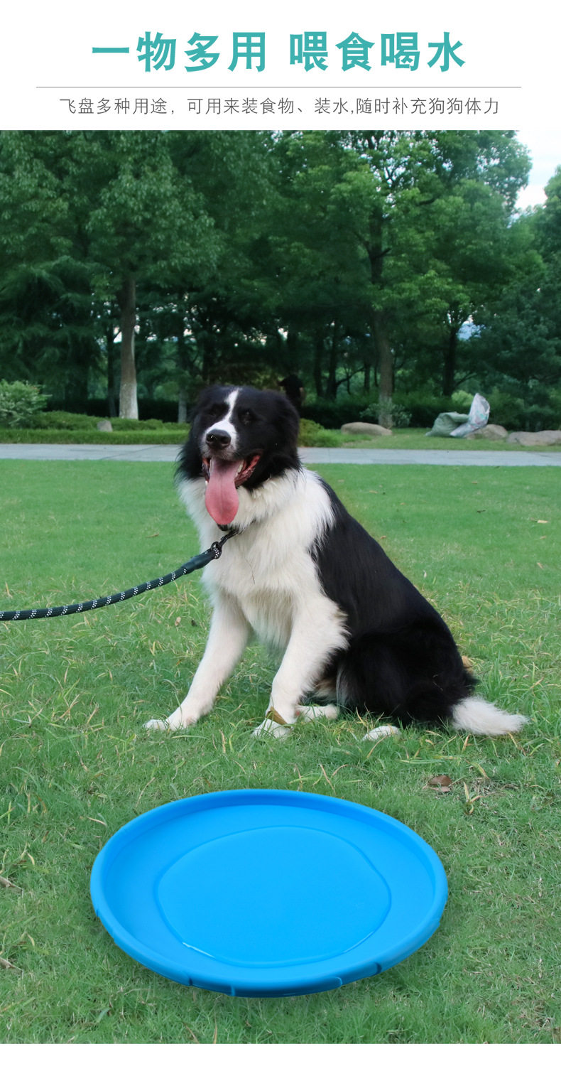 Dog Flying Disk_06.jpg