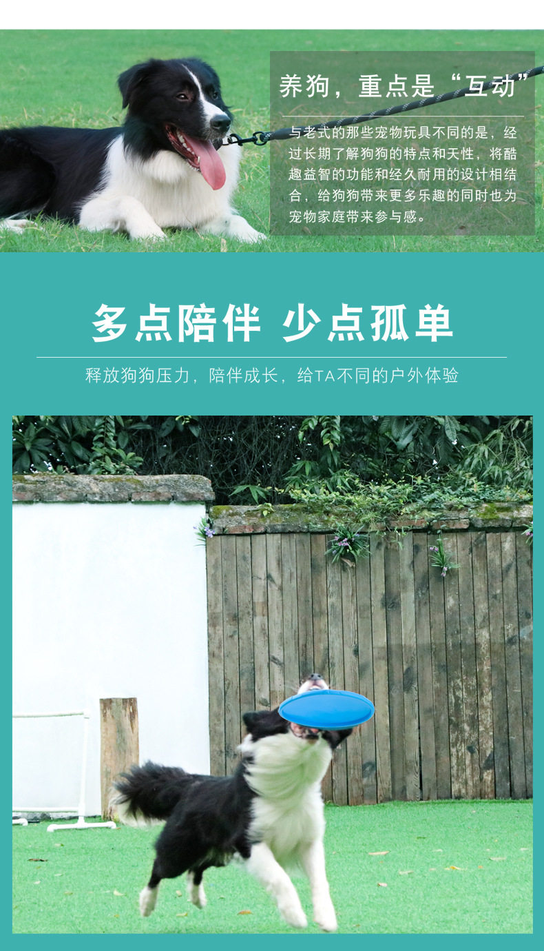 Dog Flying Tray_02.jpg