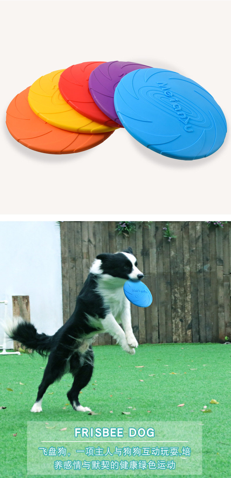 Dog Flying Disk_12.jpg