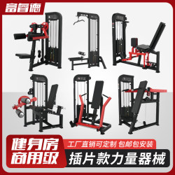 Commercial Gym Strength Equipment Hummer Insert Fitness Equipment High and Low Pull Back Extension Studio Trainer