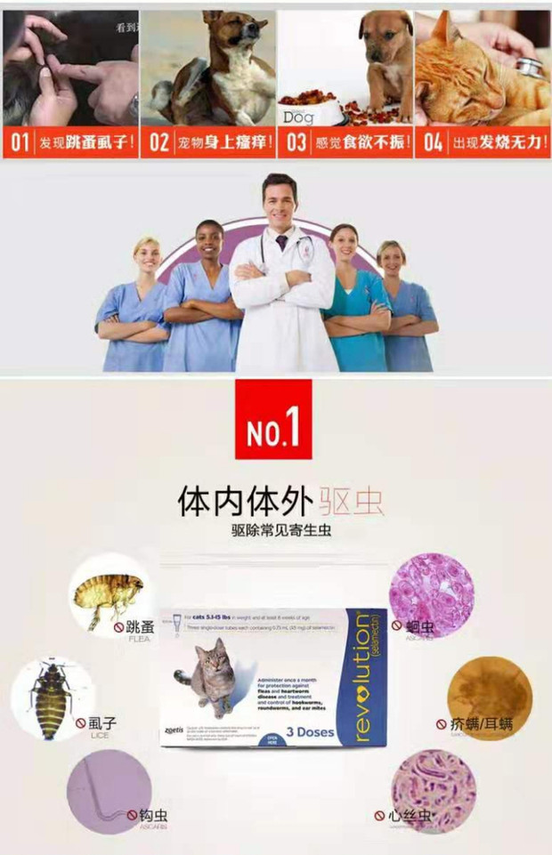 Thú cưng lớn của Mỹ thích mèo thả mèo với cơ thể và côn trùng ngoài bọ chét (một hộp ba con) - Cat / Dog Medical Supplies thiết bị y tế thú y