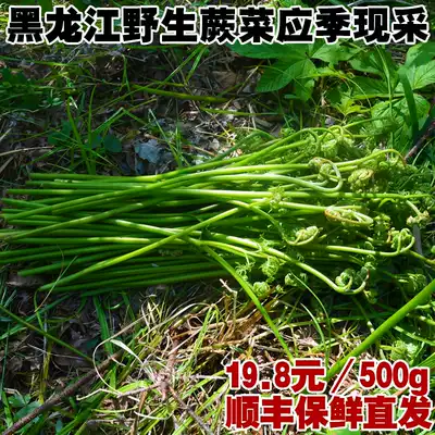 Northeast specialty Heilongjiang Yichun deep mountain wild fresh bracken cat claw vegetable mountain vegetable vegetable 500g SF