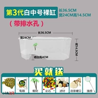 3-е поколение-бай-Zhong № обнаженное цилиндр (отправить 2 черепахи+большая подарочная упаковка)