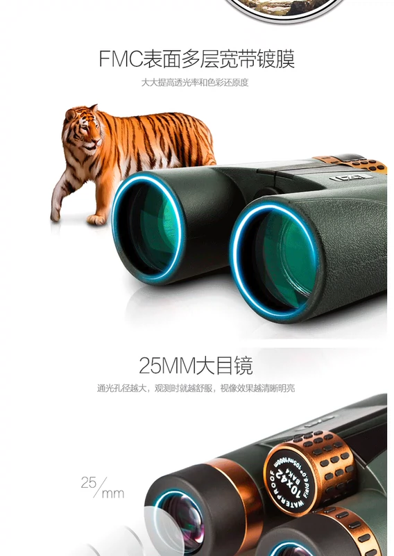 Boguan Ba ​​Tư Cat Golden Tiger 10x42 Ống nhòm chống thấm nước HD chứa đầy nitơ công suất cao - Kính viễn vọng / Kính / Kính ngoài trời