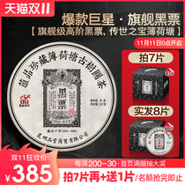 The first spring of 2020 Black Ticket-Mint Pond ancient tree pure material Puer tea raw tea cake 357g