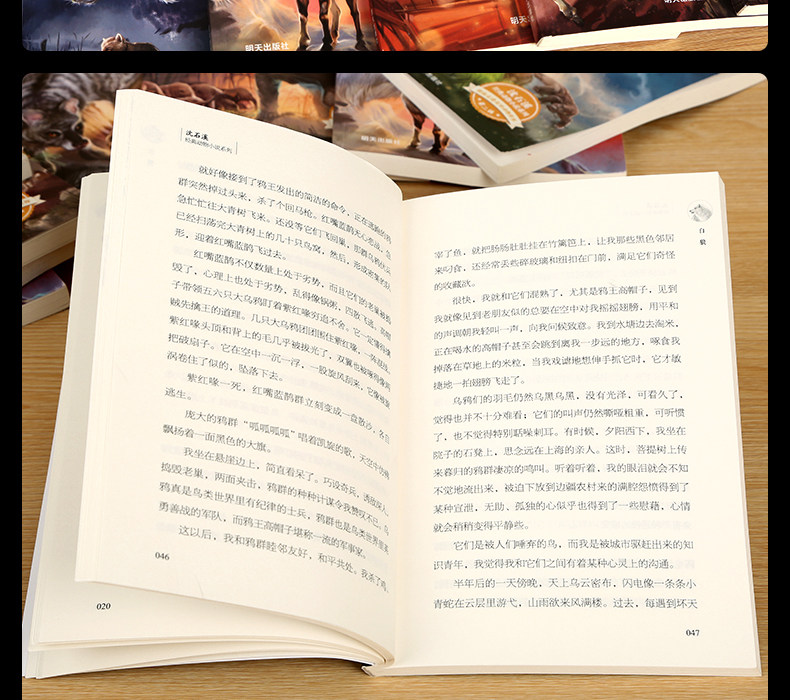 沈石溪动物小说合集 10册 图14
