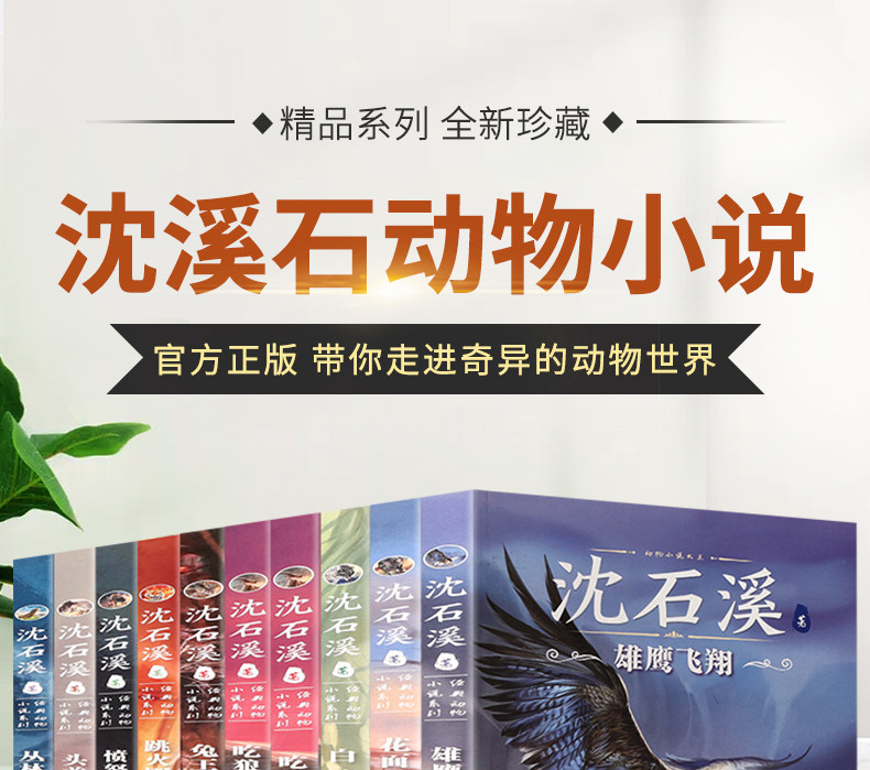 沈石溪动物小说合集 10册 图1
