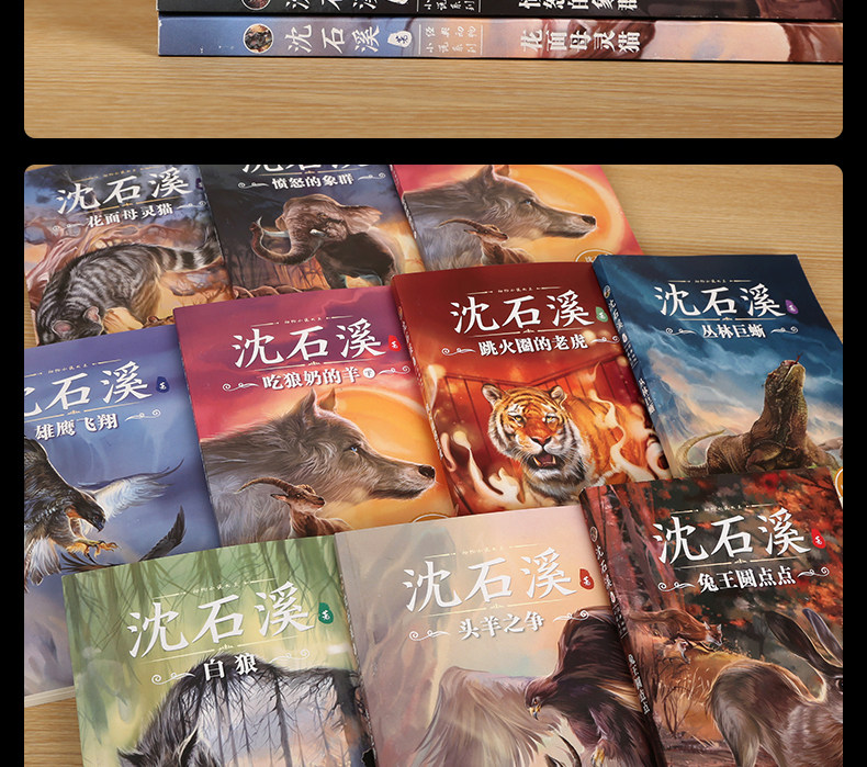 沈石溪动物小说合集 10册 图12
