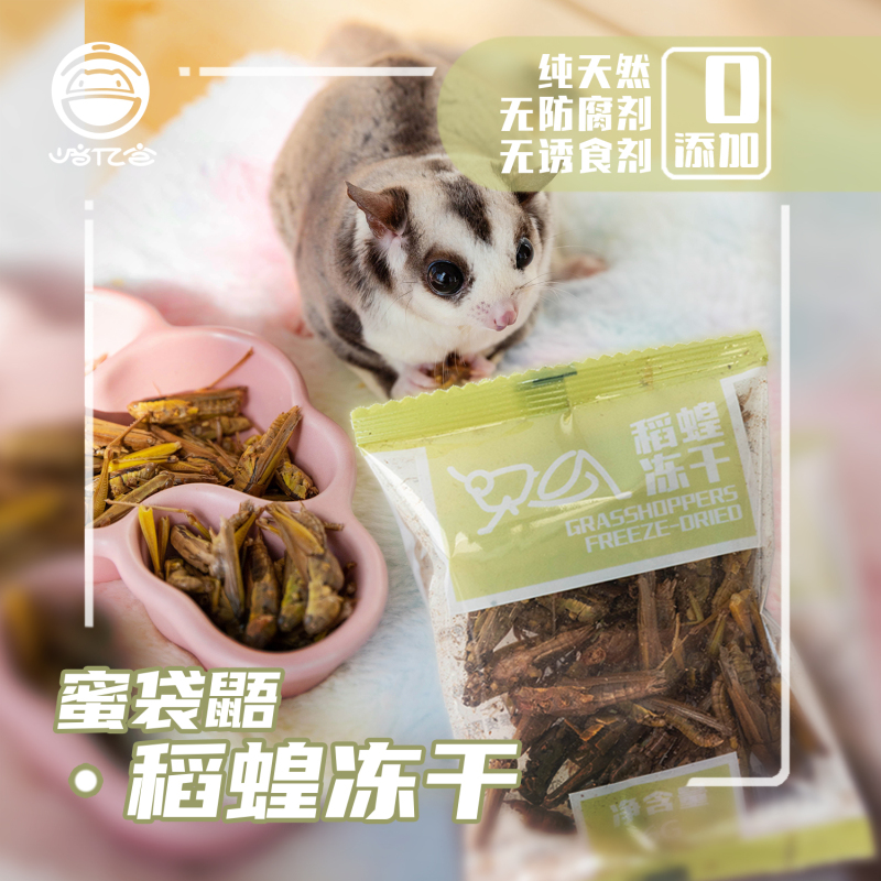 Sugar Glider Snacks, Freeze-Dried Grasshoppers, High Lecithin Protein, Fattening Nutritious Snacks, Sugar Glider Food