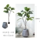 Лапша Breadtree 1,6м + нить серая тип А