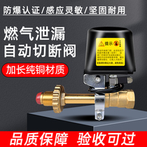 Gas leak alarm automatic cut-off valve liquefied gas gas single-tip double-tip valve pipeline natural gas manipulator